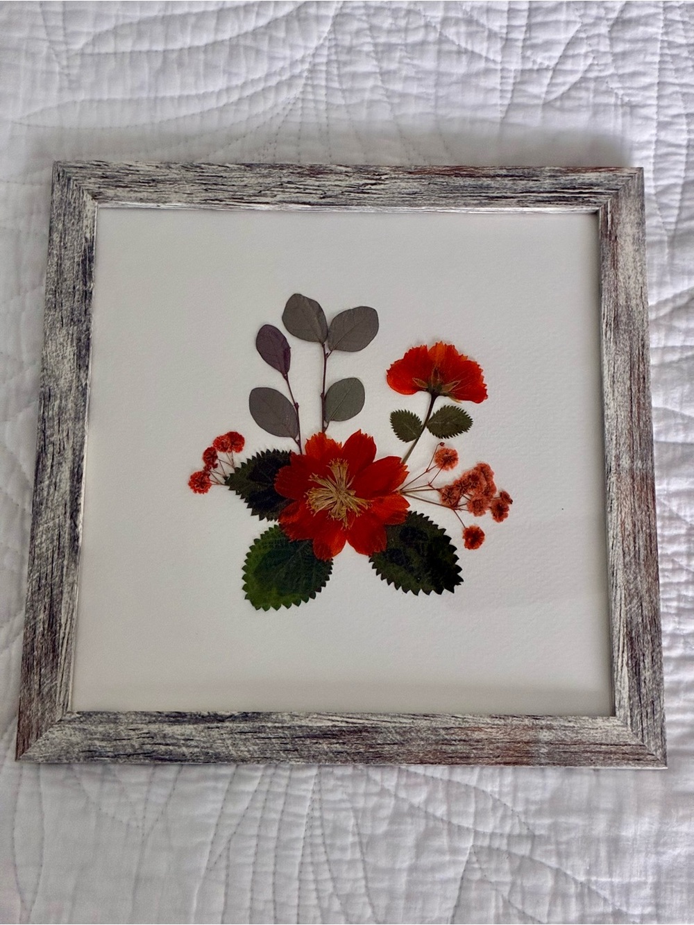 Framed Pressed-Flower Art